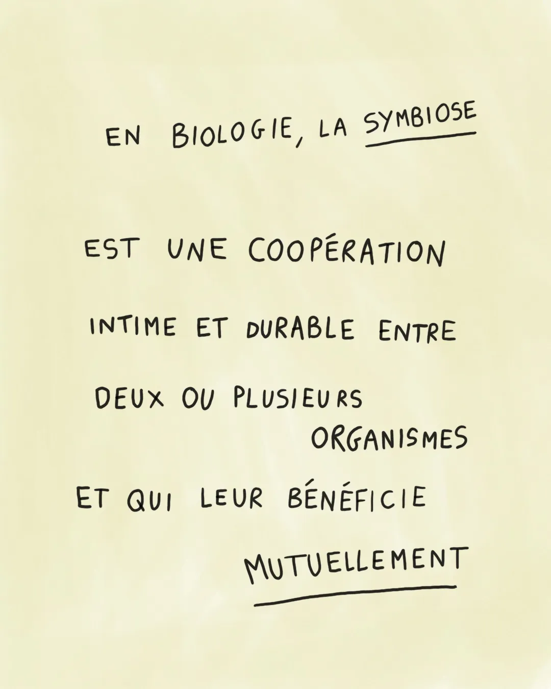 2025-09-illustration-zyle-symbiose-2